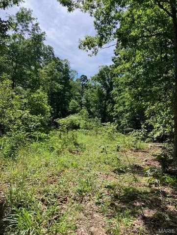 $220,000 | 80 Reynolds Cr, Lesterville, MO 63654