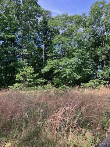 $220,000 | 80 Reynolds Cr, Lesterville, MO 63654