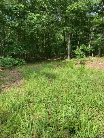 $220,000 | 80 Reynolds Cr, Lesterville, MO 63654