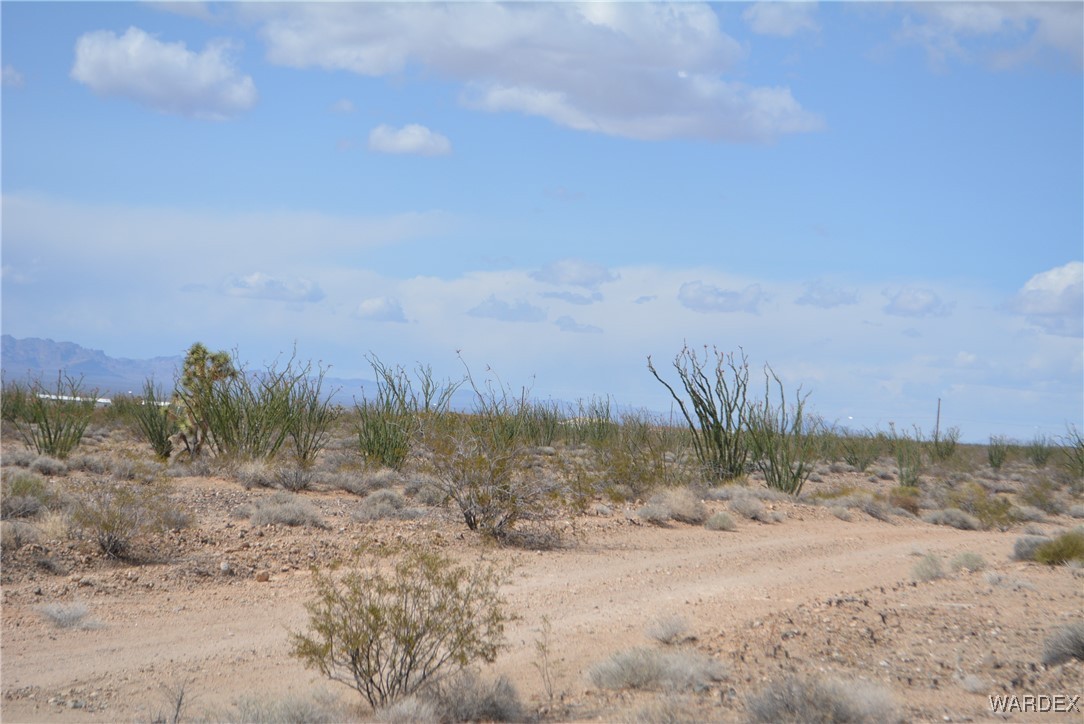 245-24-107 South Rainbow Road Yucca, AZ 86438 - Photo 78 of 91