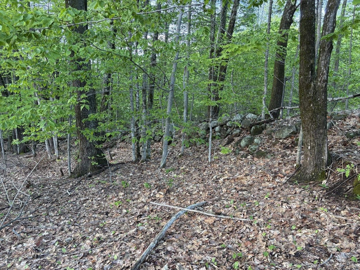27 G Pease Hill Road Cornish, ME 04020 - Photo 20 of 25 land 4