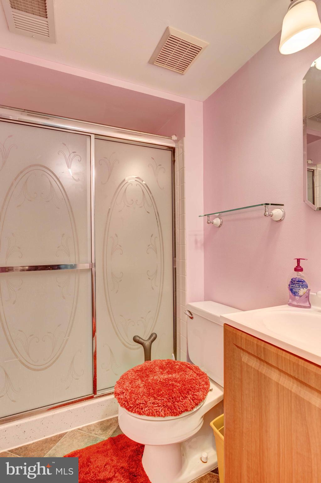 5698 Linton Road Sykesville, MD 21784 - Photo 27 of 42 Full BA with stand-up shower in LL