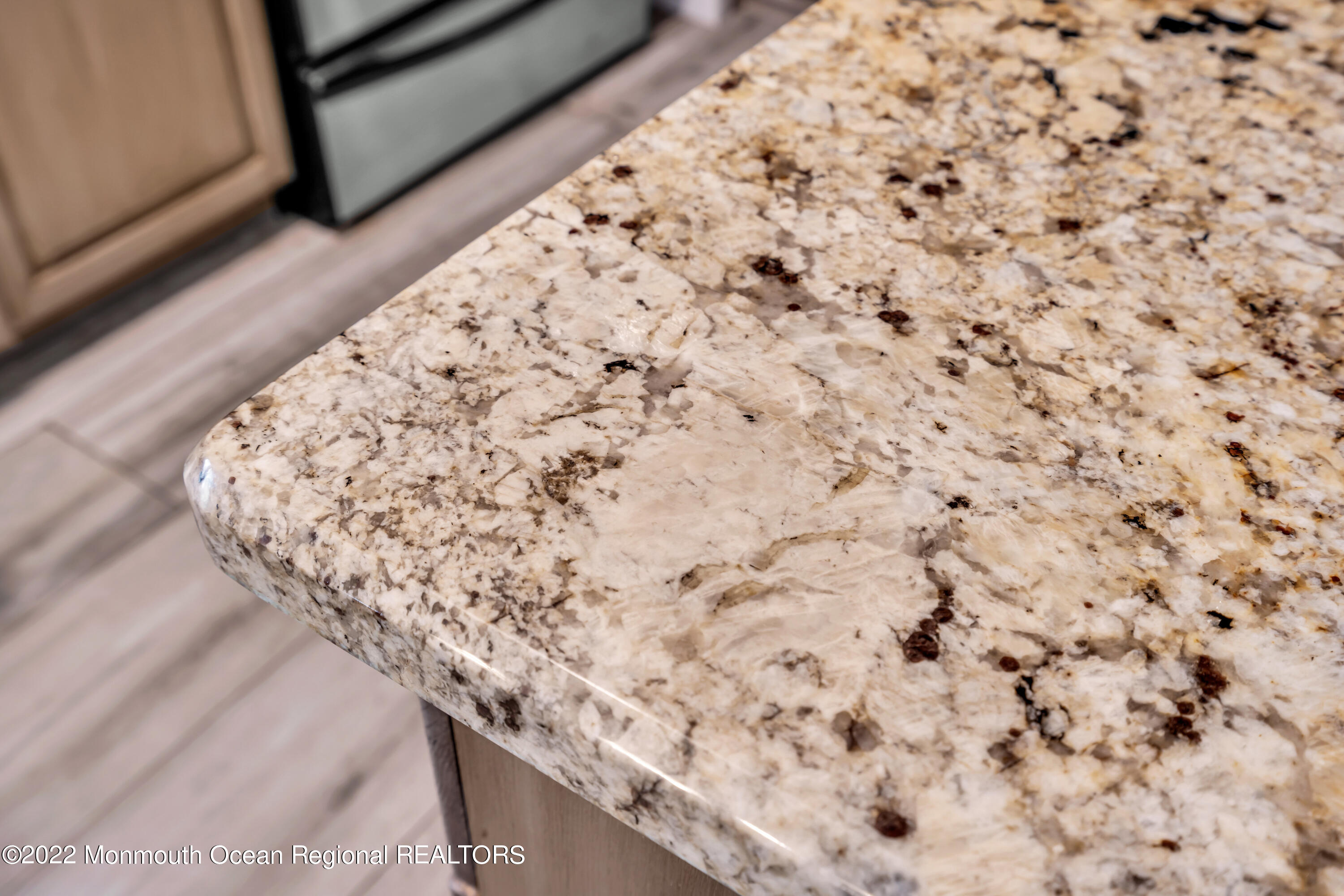 19 Lark Lane Brick, NJ 08724 - Photo 48 of 72 040_dsc09460