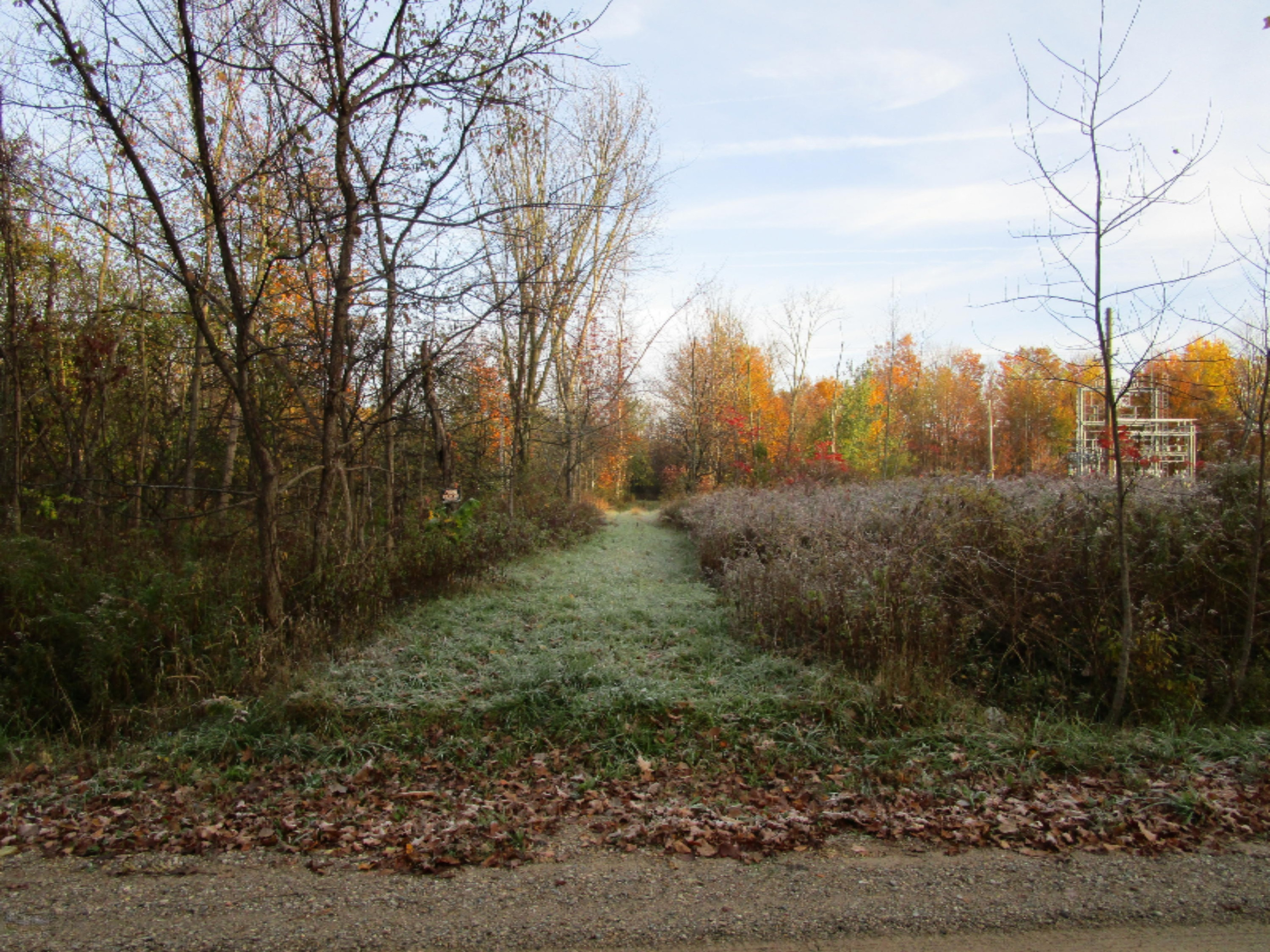 5945 Baseline Road Grand Junction, MI 49056 - Photo 3 of 25 IMG_0438
