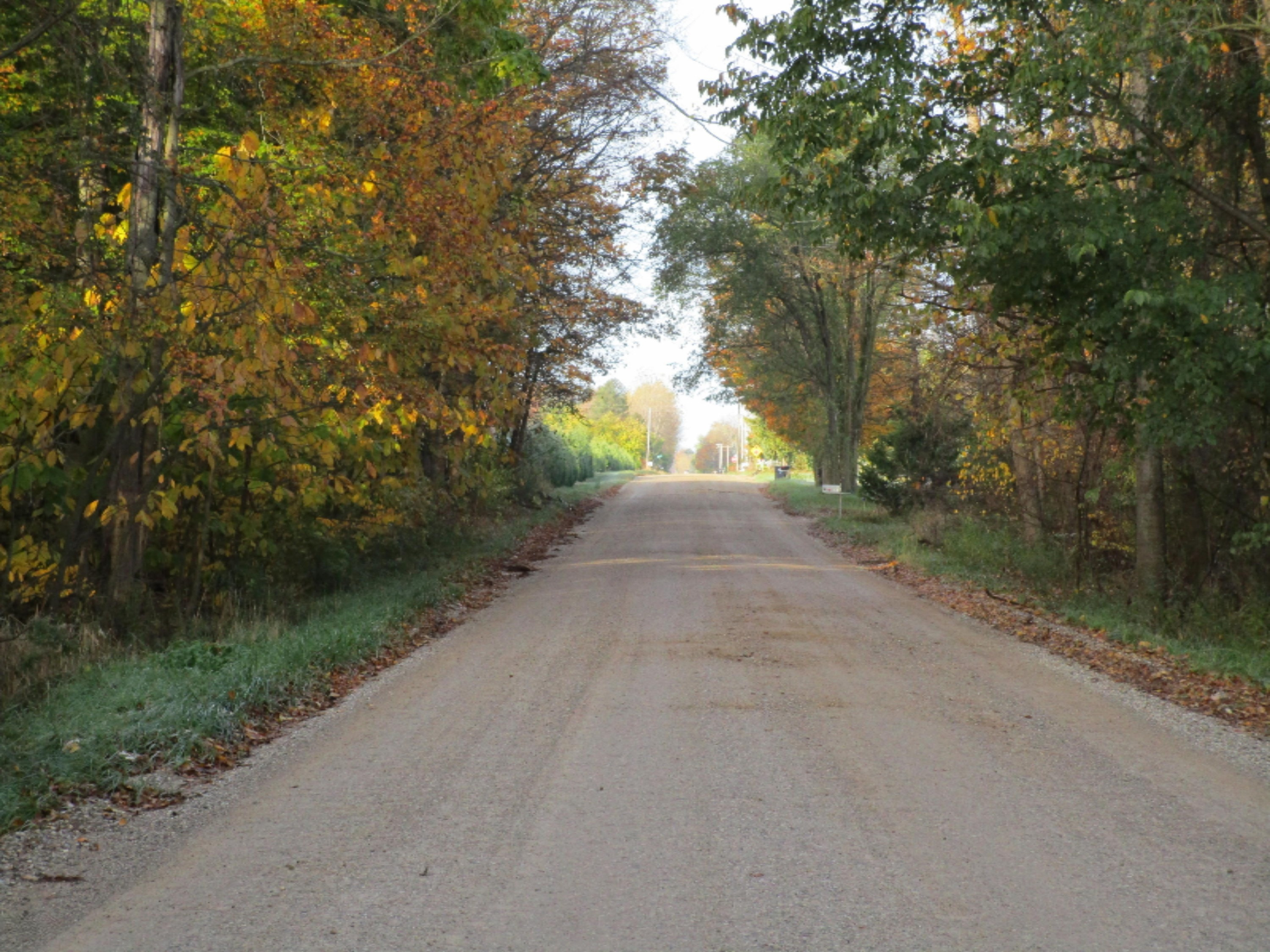 5945 Baseline Road Grand Junction, MI 49056 - Photo 6 of 25 IMG_0441