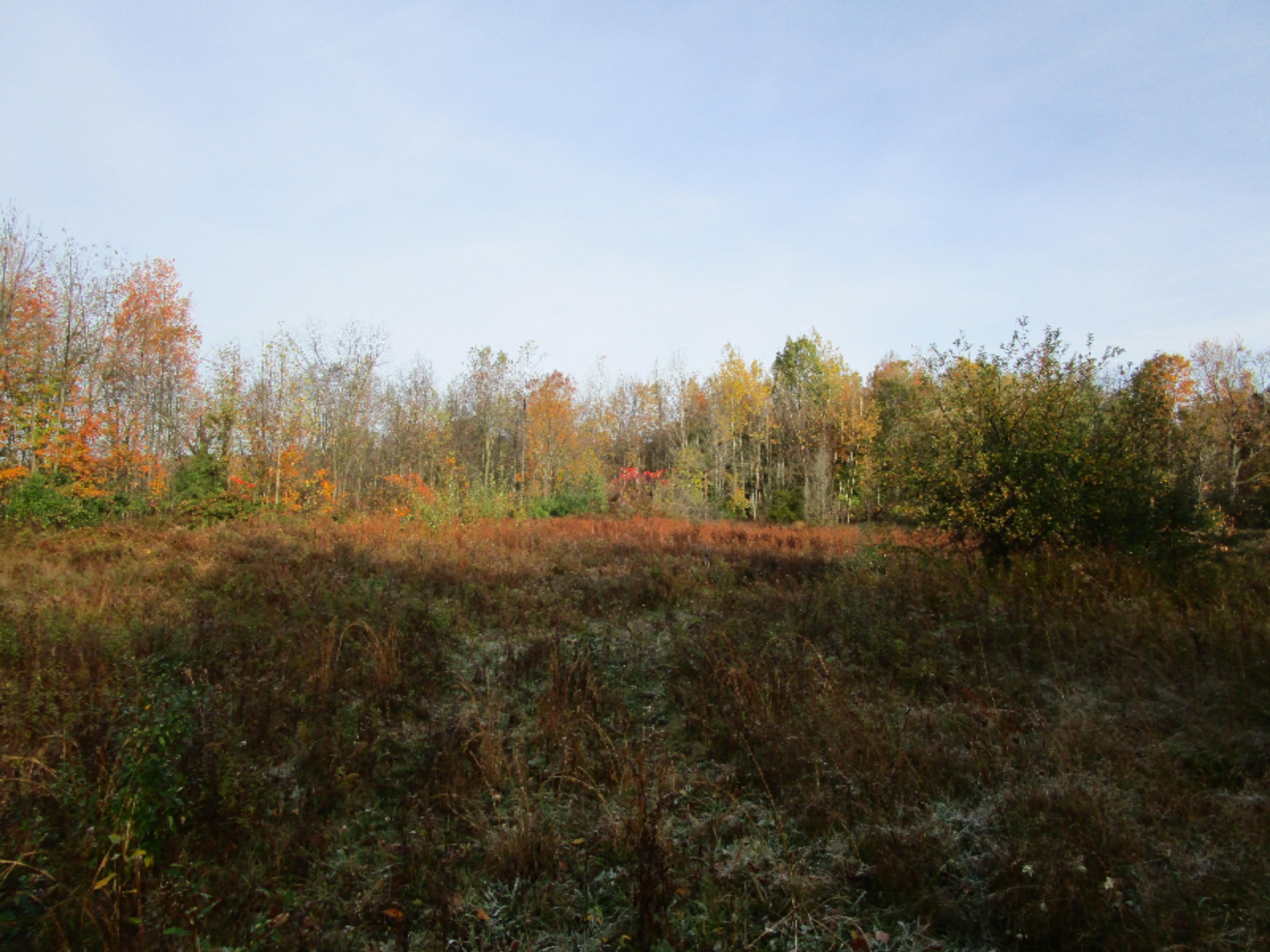 5945 Baseline Road Grand Junction, MI 49056 - Photo 10 of 25 IMG_0447