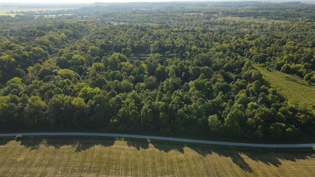 0 Carter Ferry Road Centertown, KY 42328 - Photo 5 of 23 Gallery Image 5