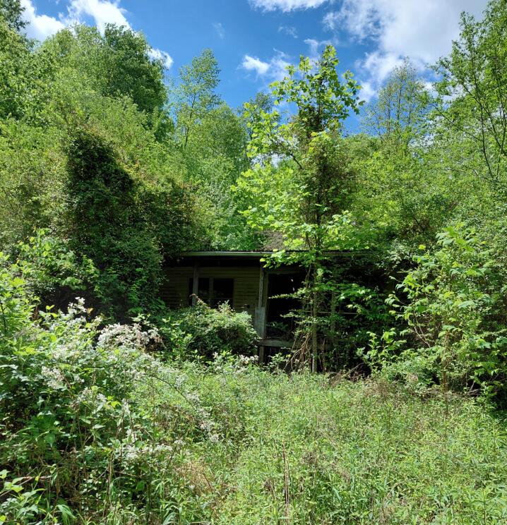 803 Hall Branch Road Topmost, KY 41862 - Photo 2 of 6 Screenshot 2026-07-13 153951