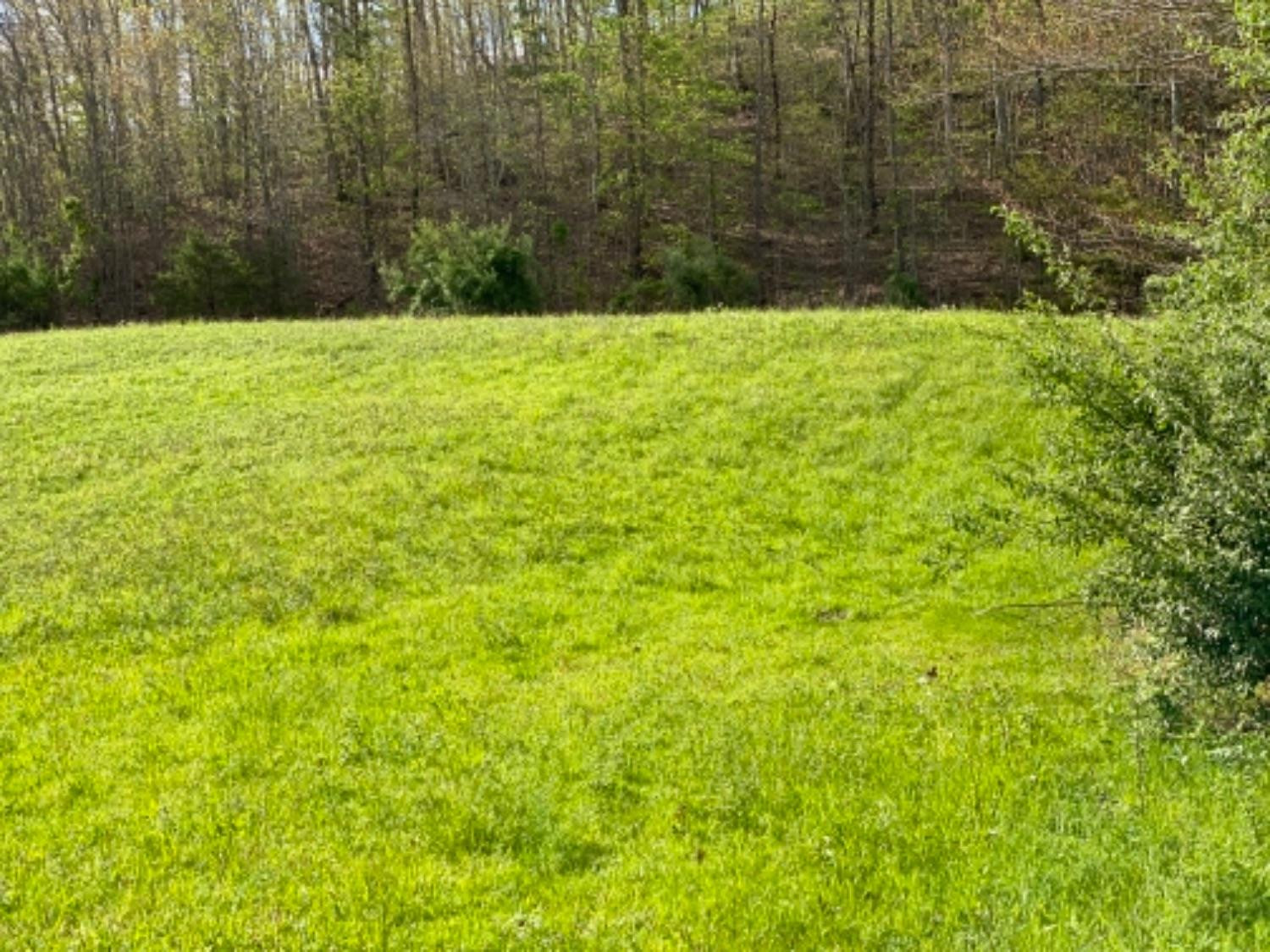 9999 Powell Branch Road Bimble, KY 40915 - Photo 15 of 15 Photo 15
