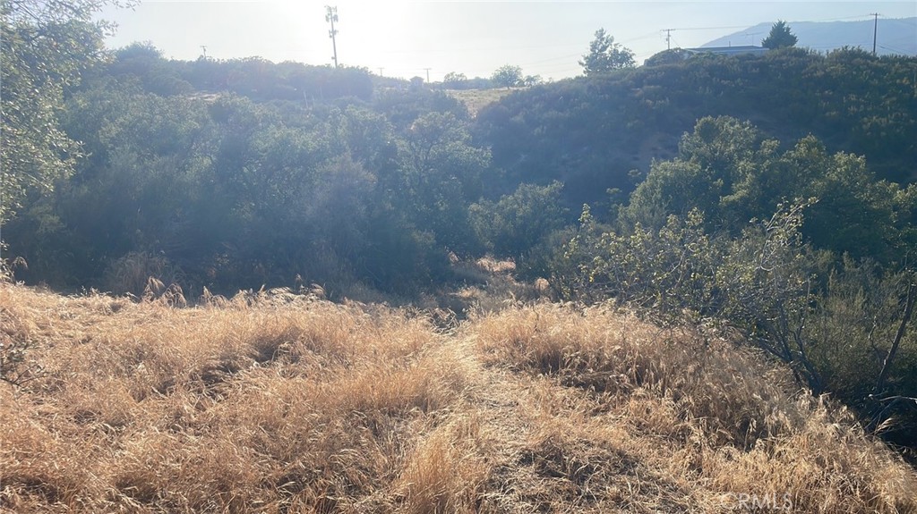 60380 Burnt Valley Road Anza, CA 92539 - Photo 12 of 14 lots of potential