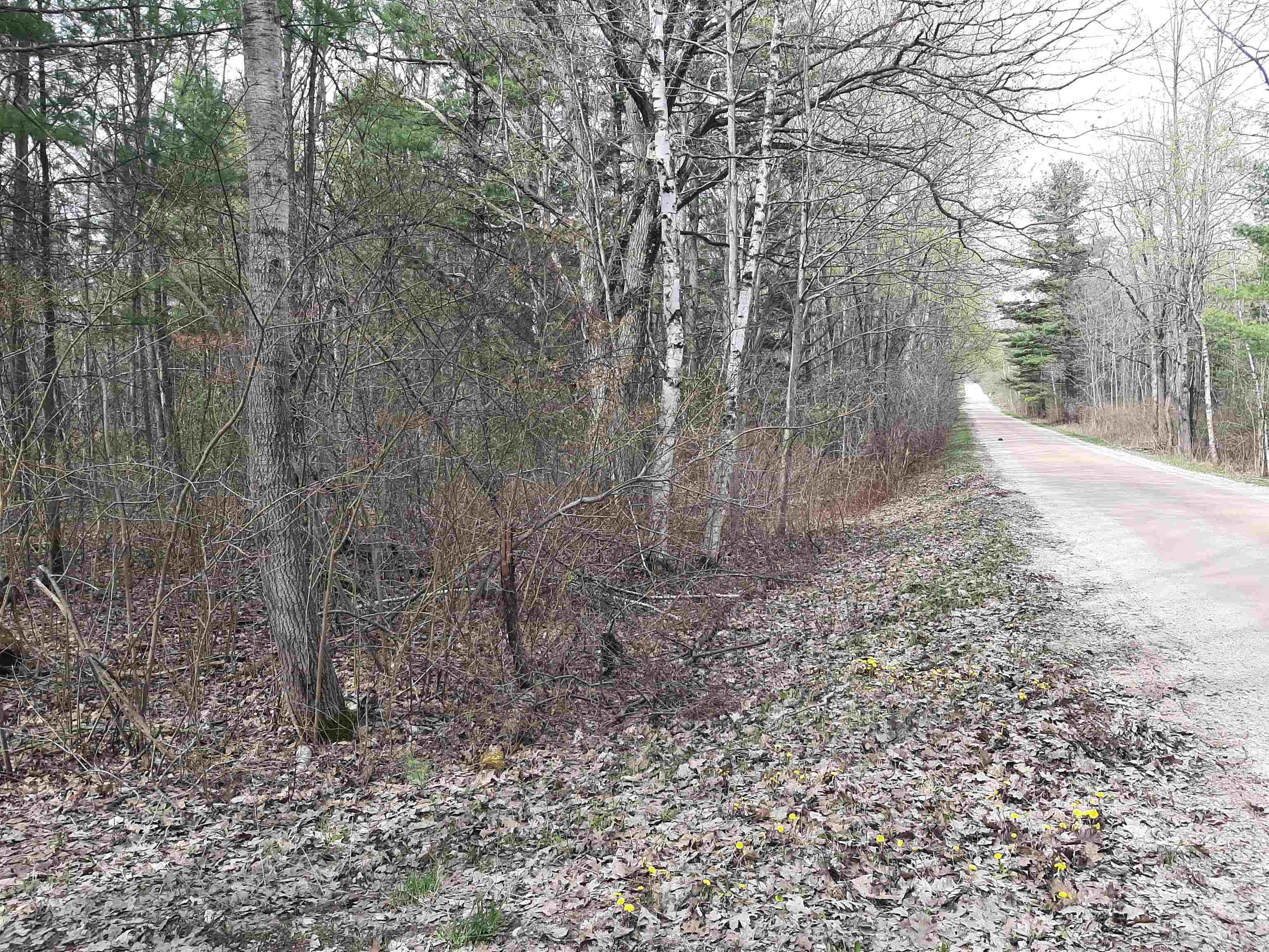 125 West Clarence Road Harrison, MI 48625 - Photo 25 of 44 Gallery Image 25