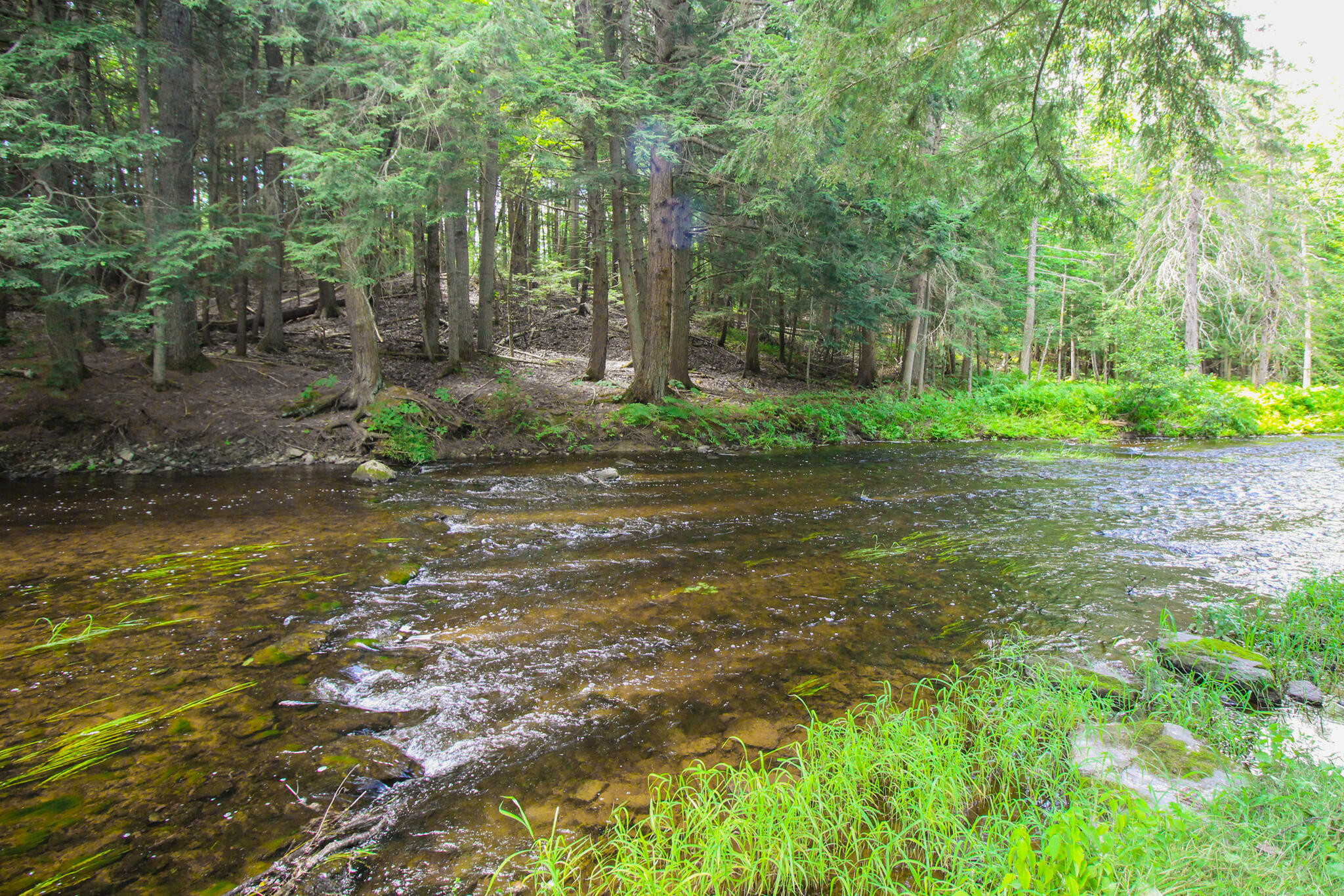 229 Brewer Lake Road Orrington, ME 04474 - Photo 43 of 48 IMG_3442