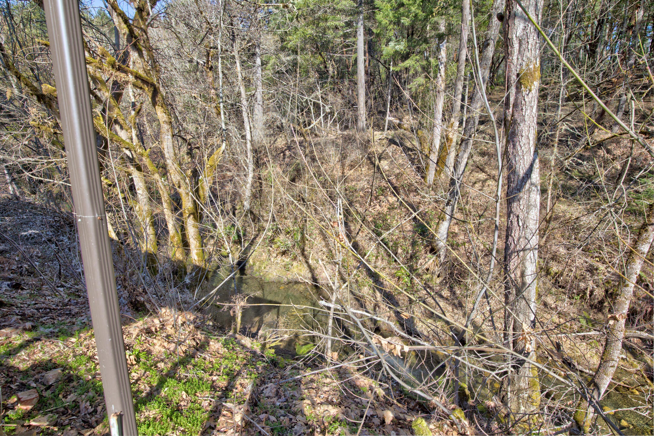 3704 Quartz Creek Road Merlin, OR 97532 - Photo 18 of 51 0R1A5933_4_5_6_7