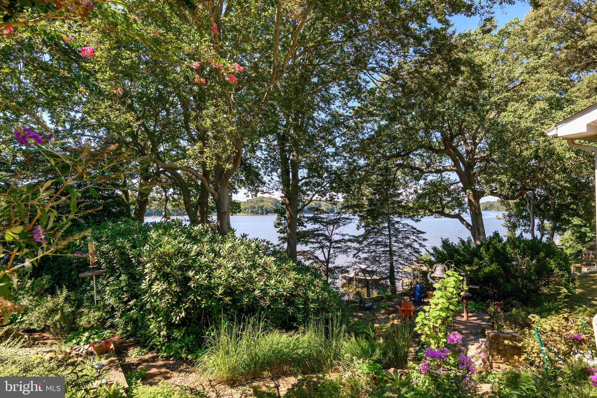 25209 Wymont Park Road Worton, MD 21678 - Photo 42 of 51 a backyard of a house with lots of green space