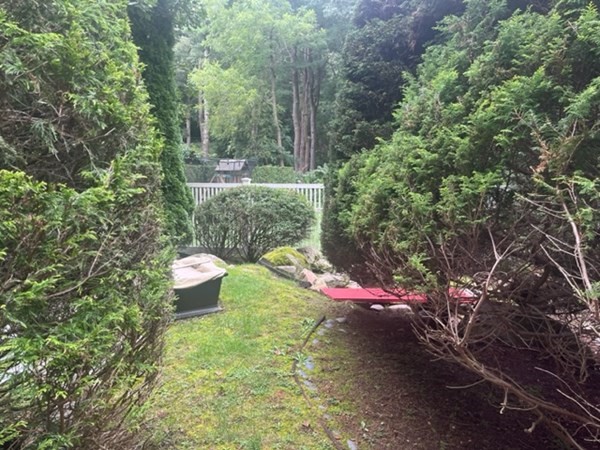 34 Clifton Road Milton, MA 02186 - Photo 3 of 3 a view of a yard with plants and tree