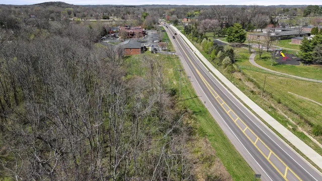 a view of a lush green forest with lots of trees