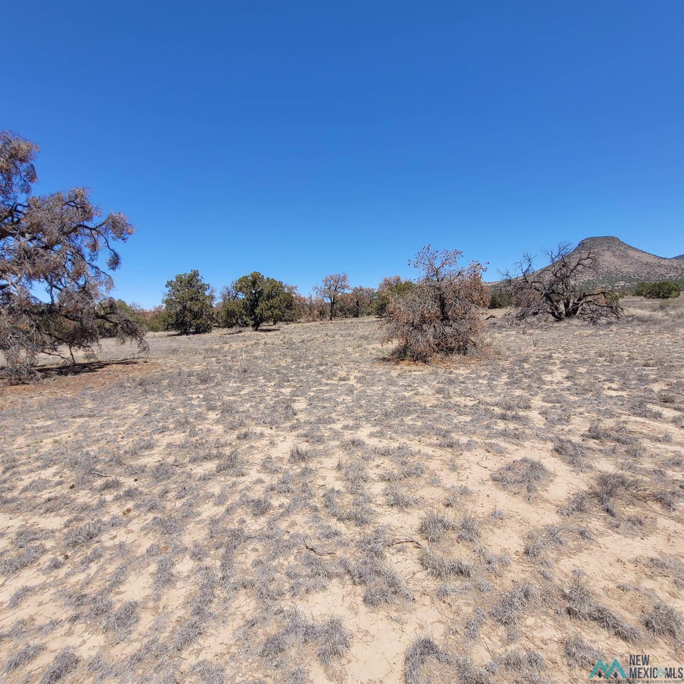 47 Southern Trail, Unit 48 47 Datil, NM 87821 - Photo 38 of 46 Gallery Image 38