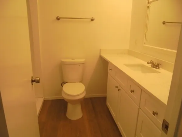 a bathroom with a sink and a toilet