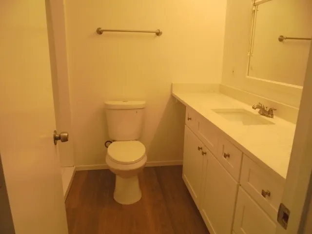 a bathroom with a sink and a toilet