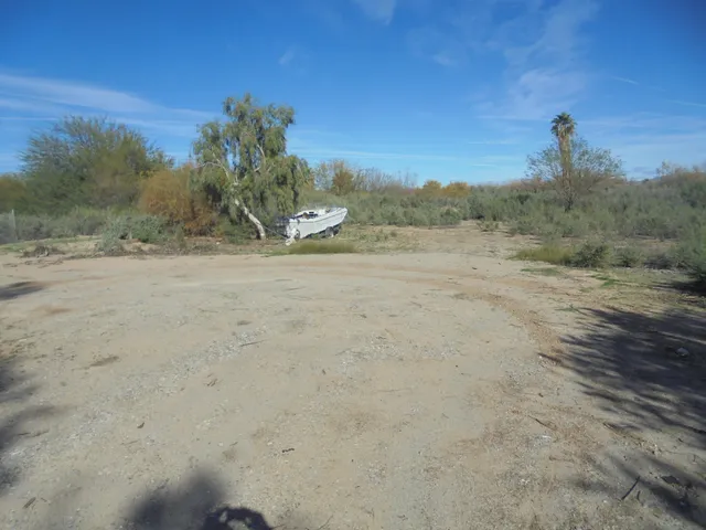 a view of a field with trees in background
