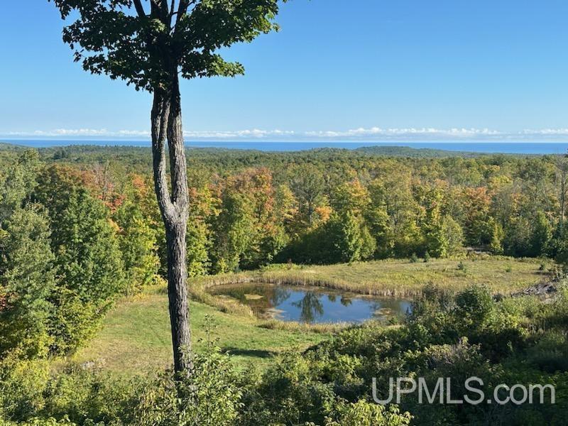 Tbd Tbd Garlic Mountain Road Negaunee, MI 49866 - Photo 2 of 61