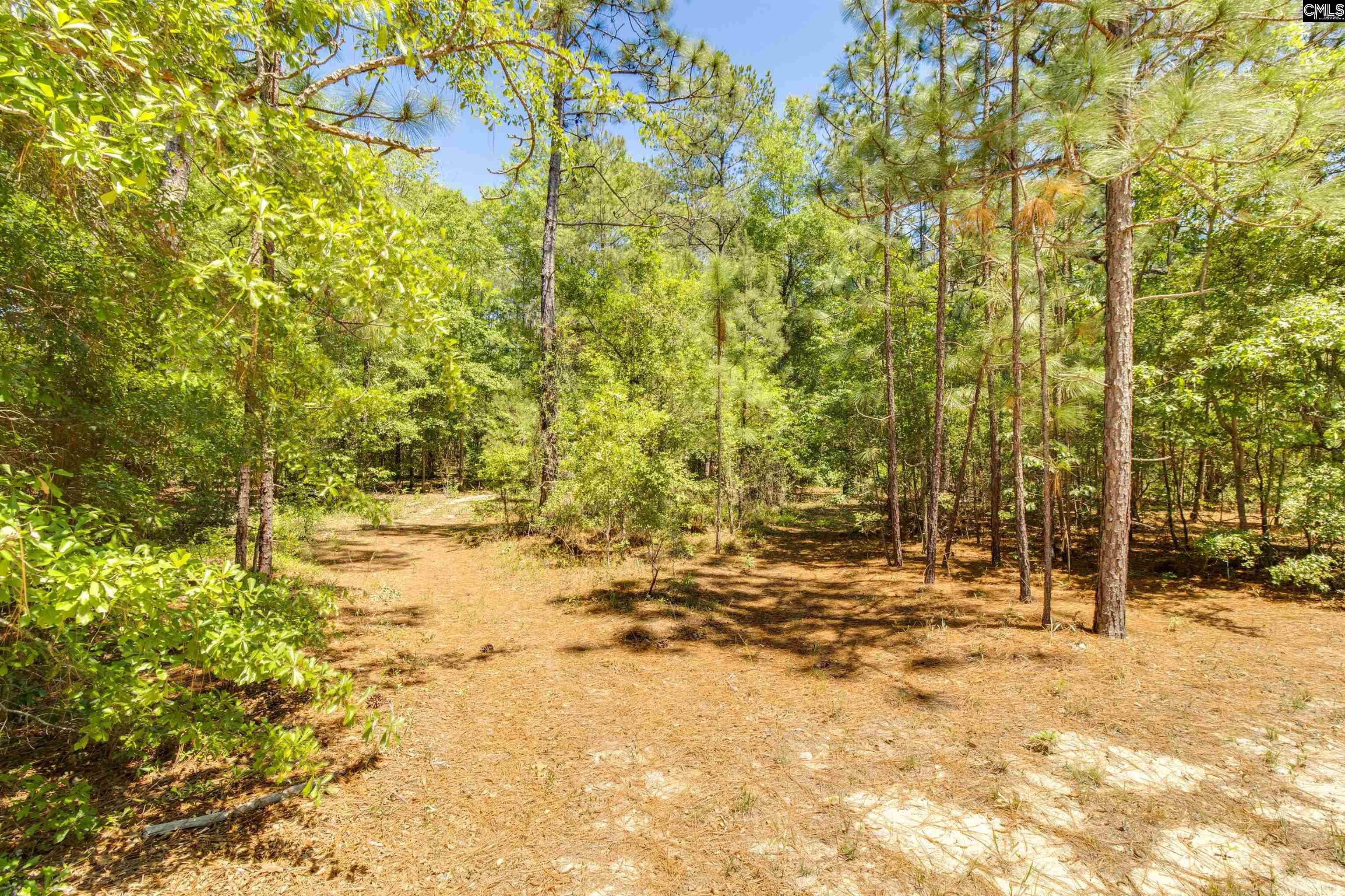 3075 State Rd S-28-48 Elgin, SC 29045 - Photo 32 of 50