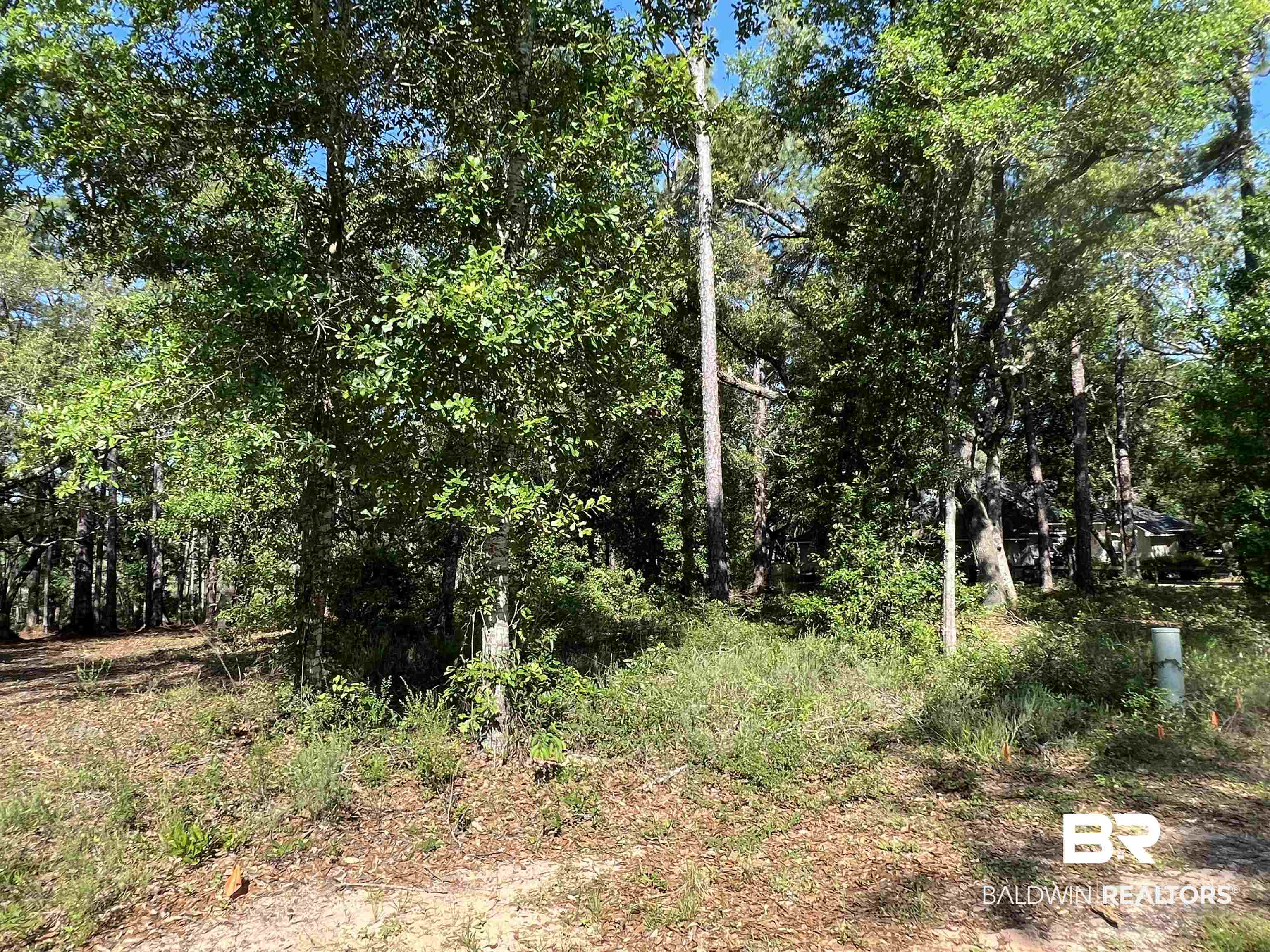 9545 North Bayou Road Lillian, AL 36549 - Photo 4 of 34 View of nature with a wooded view