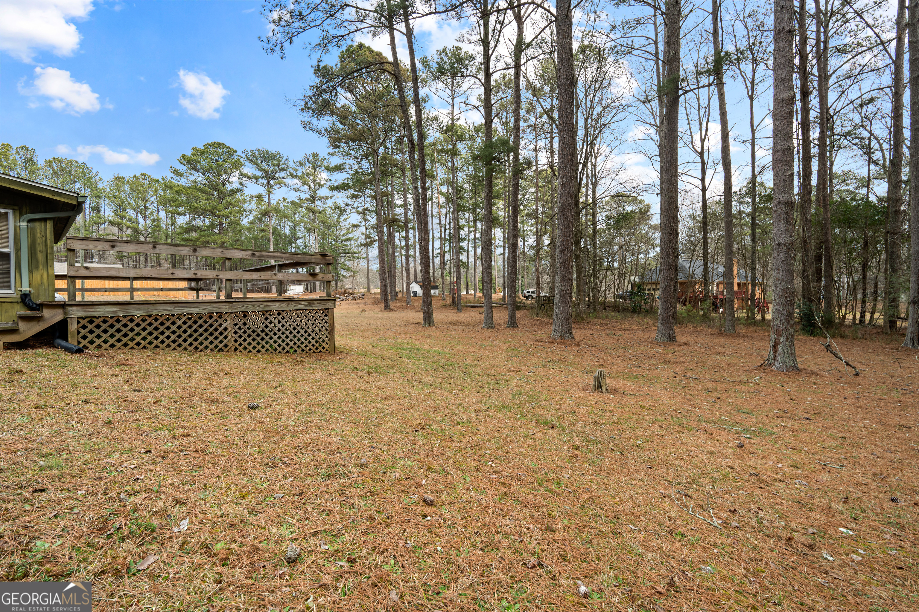 447 Adams Road Fayetteville, GA 30214 - Photo 48 of 52 a view of outdoor space with trees