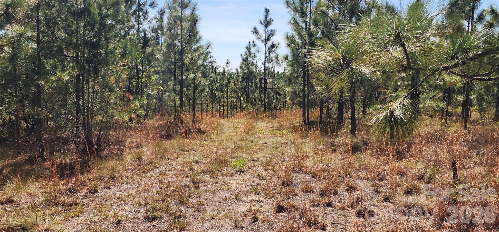 1045 McQueen Road Patrick, SC 29584 - Photo 13 of 32