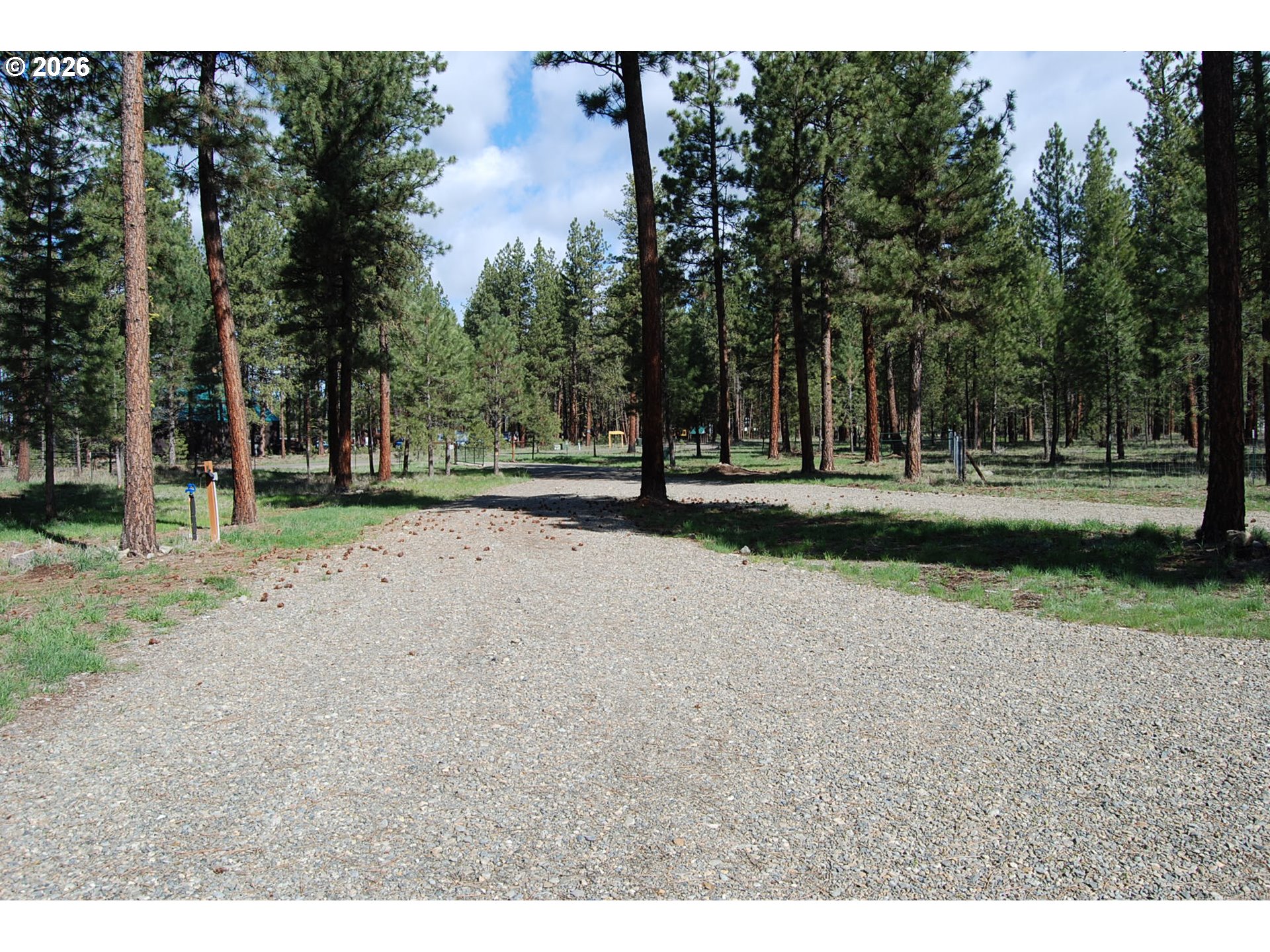 38987 Deer Creek Road Baker City, OR 97814 - Photo 38 of 45 a view of outdoor space with trees