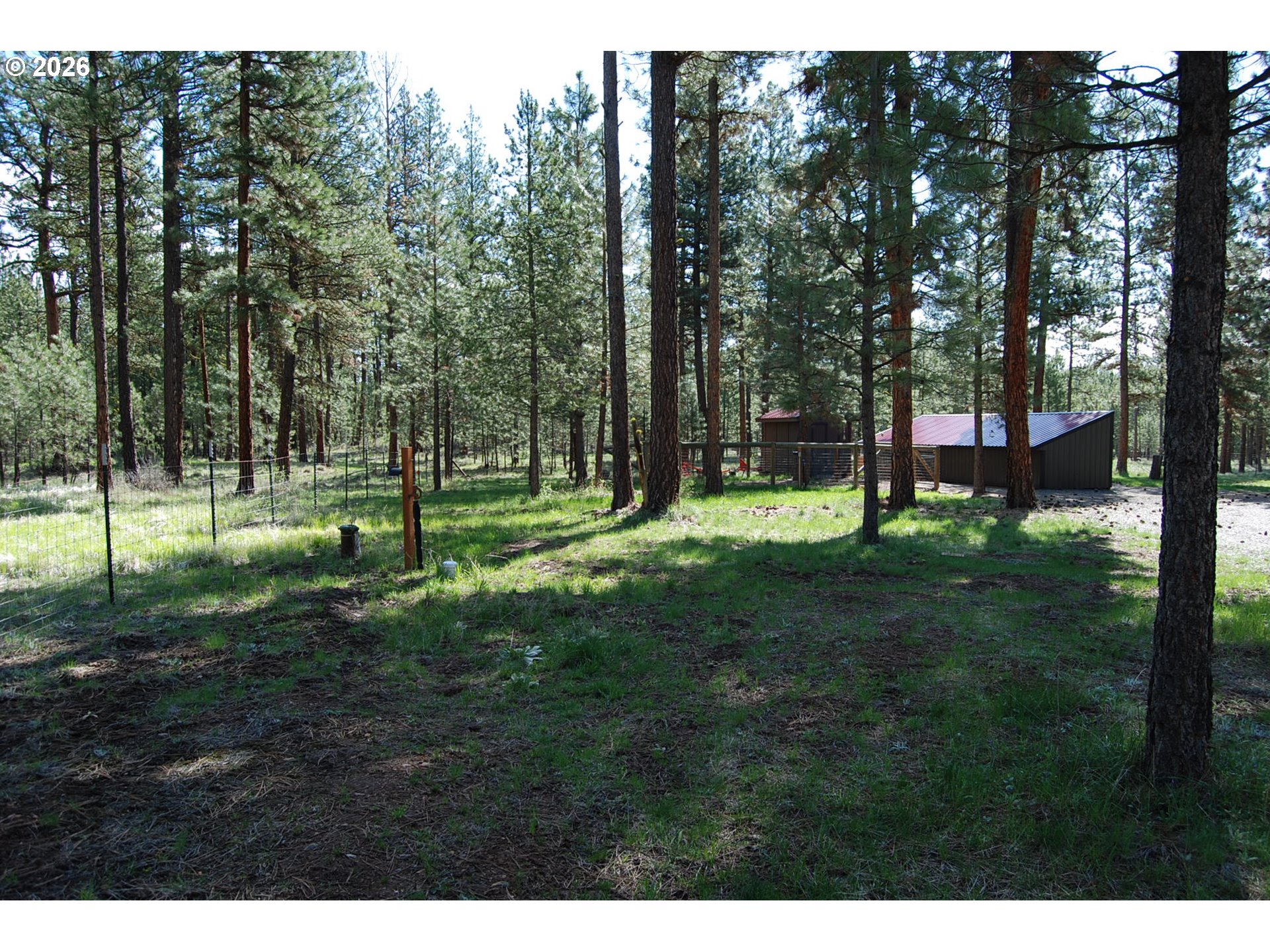 38987 Deer Creek Road Baker City, OR 97814 - Photo 39 of 45 a view of a park with trees in the background