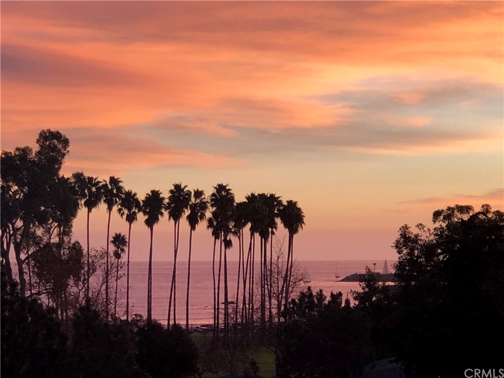 3197 Doheny Way Dana Point, CA 92629 - Photo 3 of 28