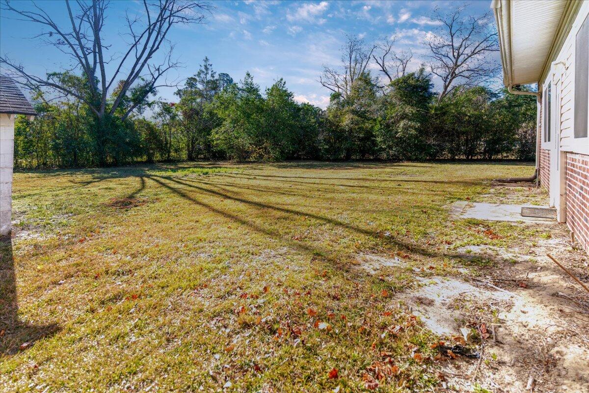 6100 Springfield Road Williston, SC 29853 - Photo 13 of 38