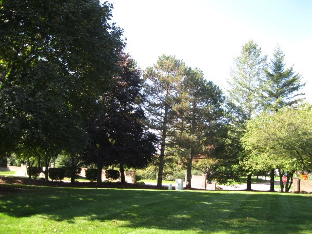875 GreenView Court, Unit 63 Rochester, MI 48307 - Photo 38 of 81 31397243-37.JPG