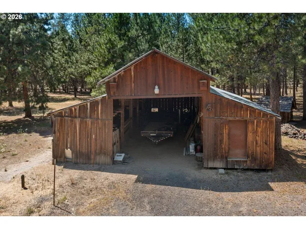 a view of a park with large trees