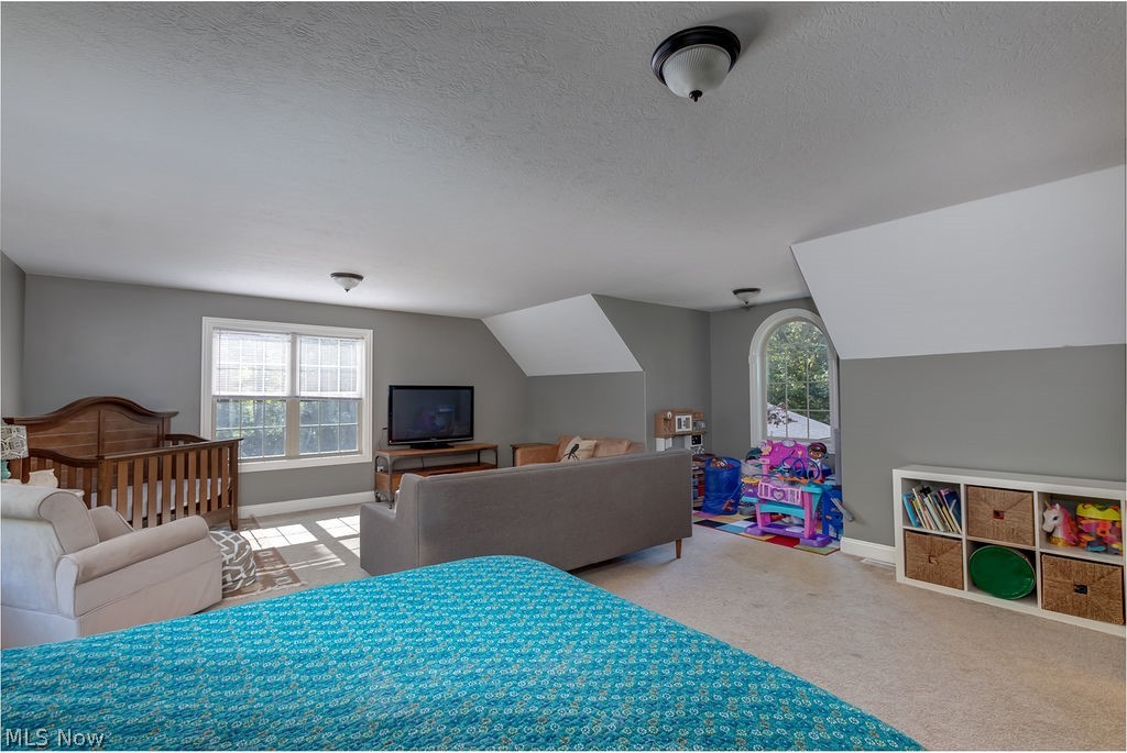 12167 Girdled Road Painesville, OH 44077 - Photo 28 of 35 Gallery Image 28