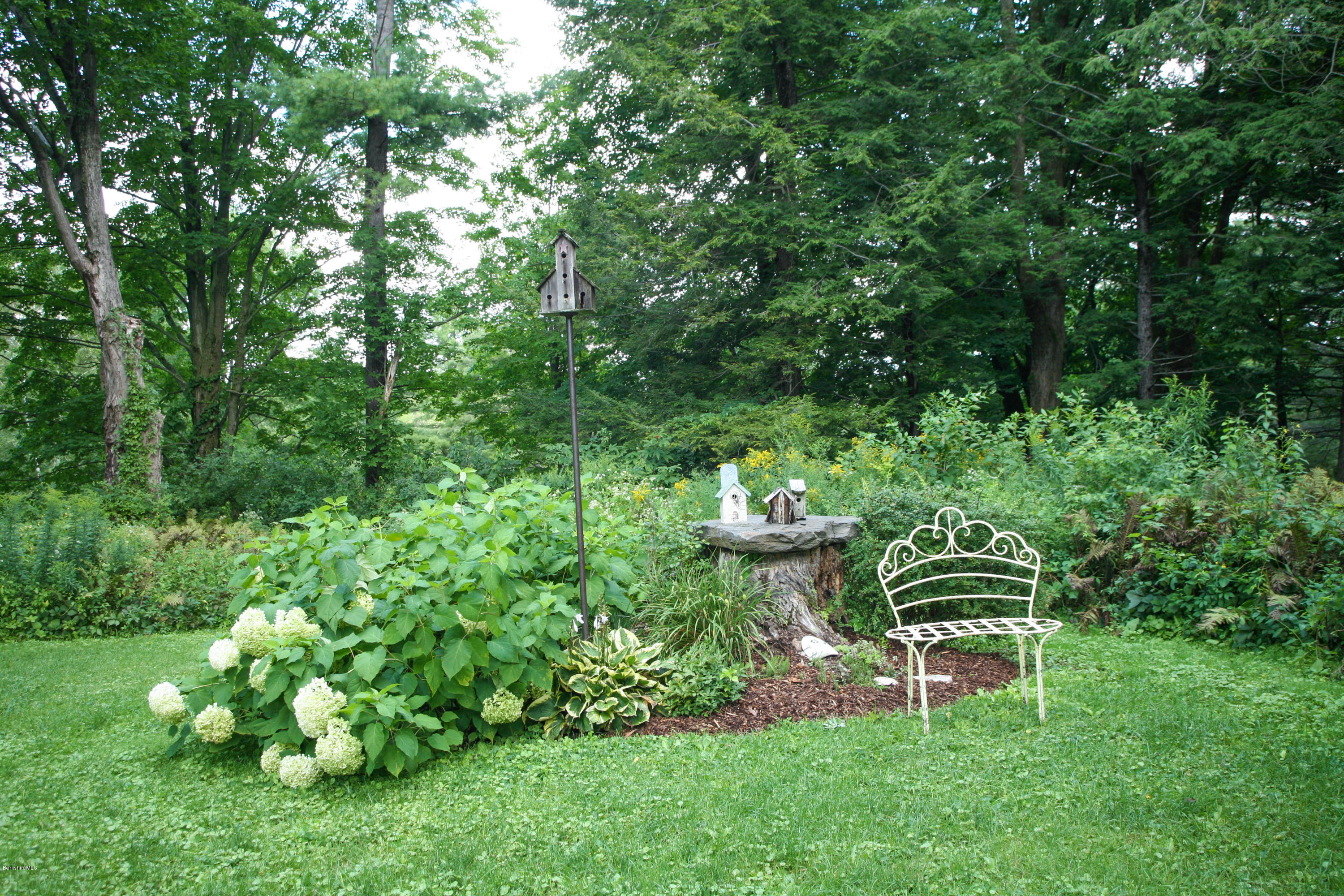 570 Devon Road Lee, MA 01238 - Photo 11 of 42 a garden with lots of trees
