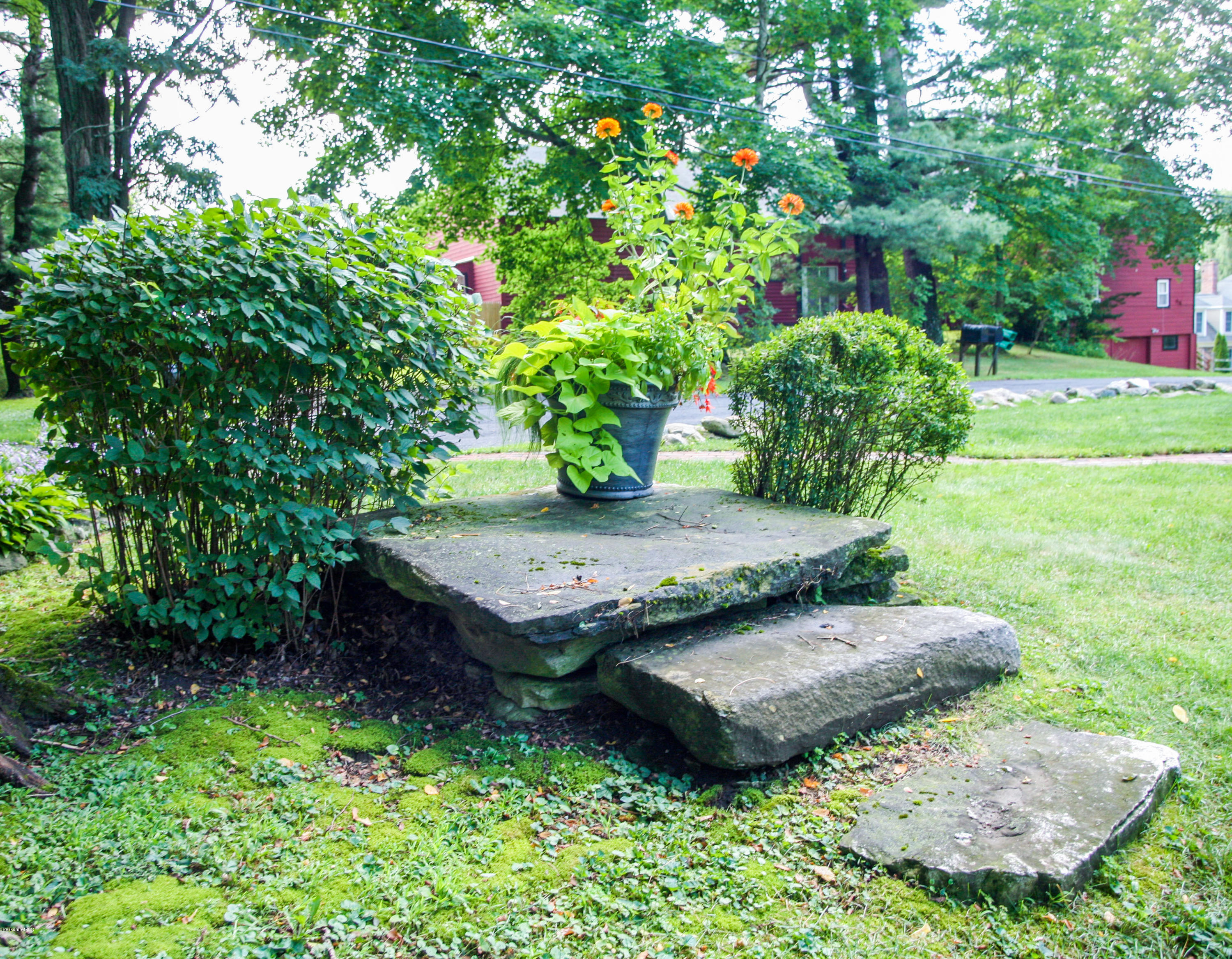 570 Devon Road Lee, MA 01238 - Photo 40 of 42 a view of a backyard with potted plants and large trees
