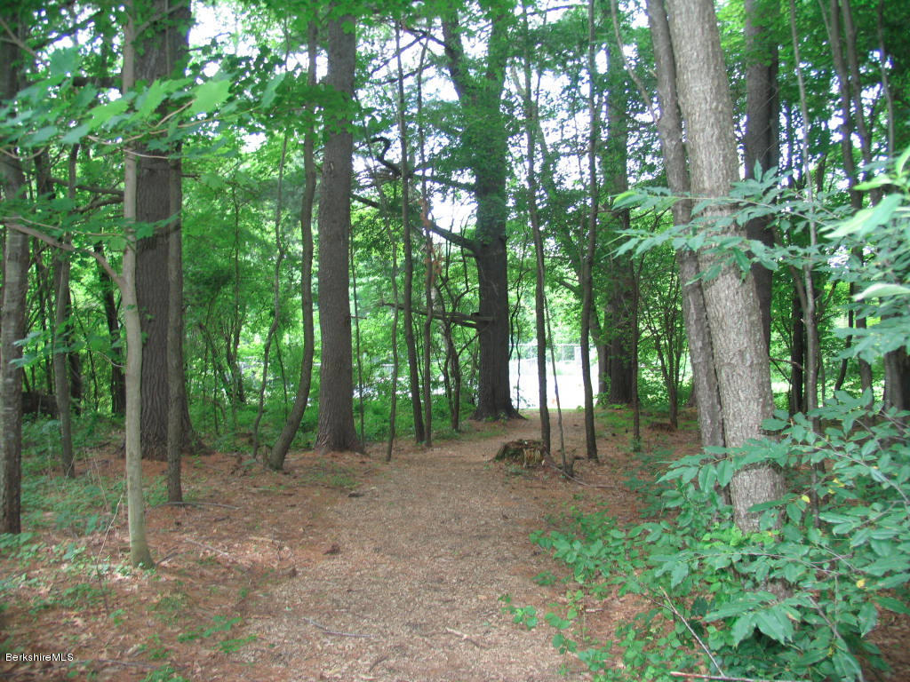 570 Devon Road Lee, MA 01238 - Photo 9 of 42 a view of outdoor space and trees