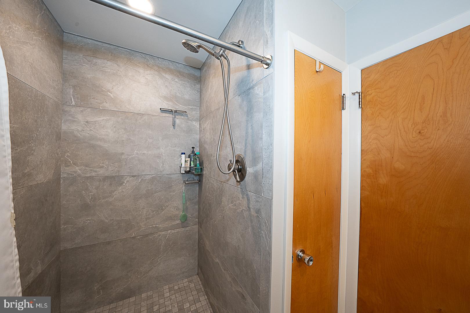 101 Andrea Road Cheltenham, PA 19012 - Photo 31 of 82 Walk in Shower
