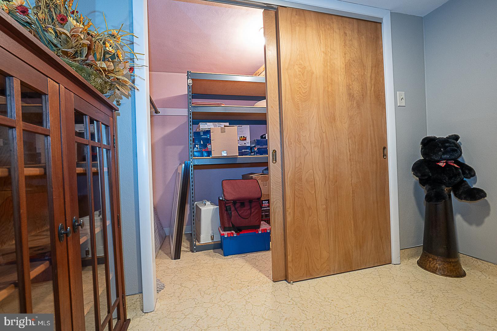 101 Andrea Road Cheltenham, PA 19012 - Photo 53 of 82 Lower Level Storage