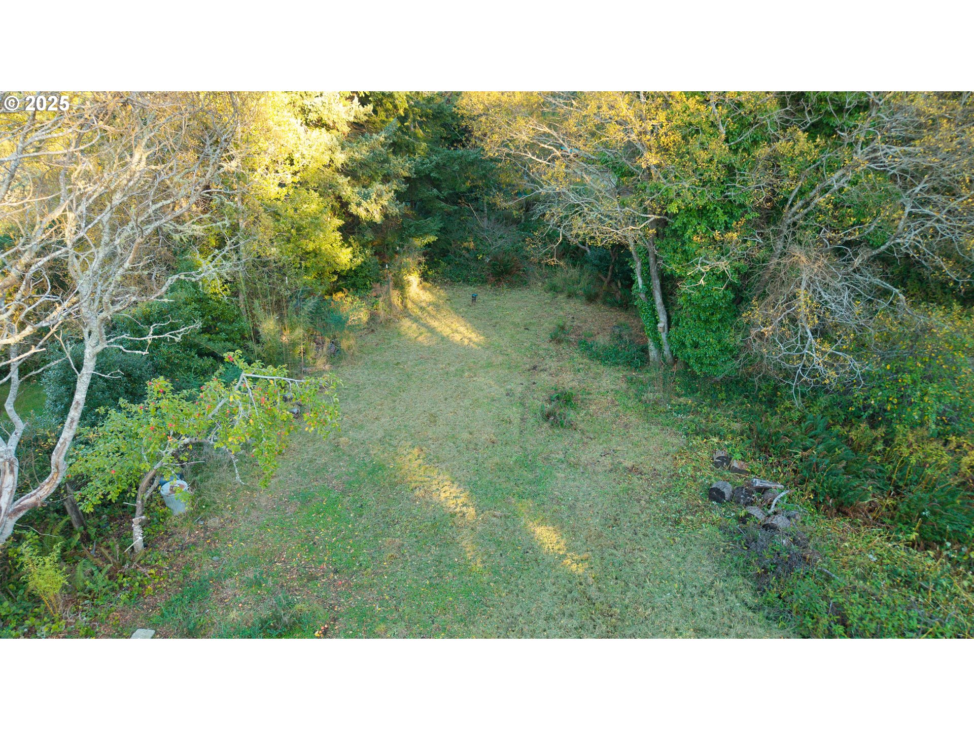 Washington Street Port Orford, OR 97465 - Photo 1 of 16 a open area with trees in front of it