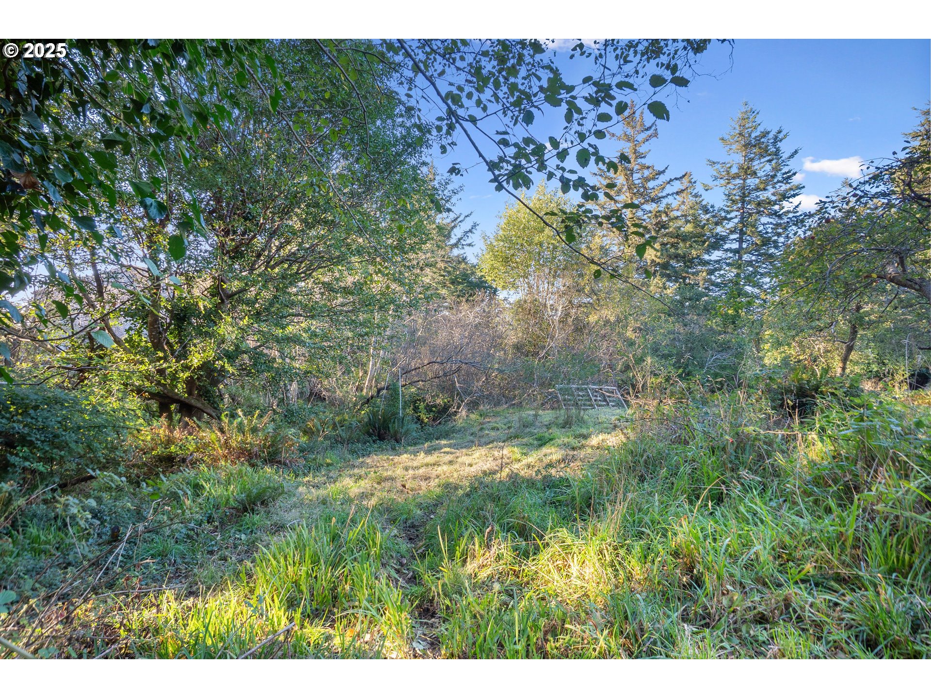 Washington Street Port Orford, OR 97465 - Photo 14 of 16 a view of a plant in a garden