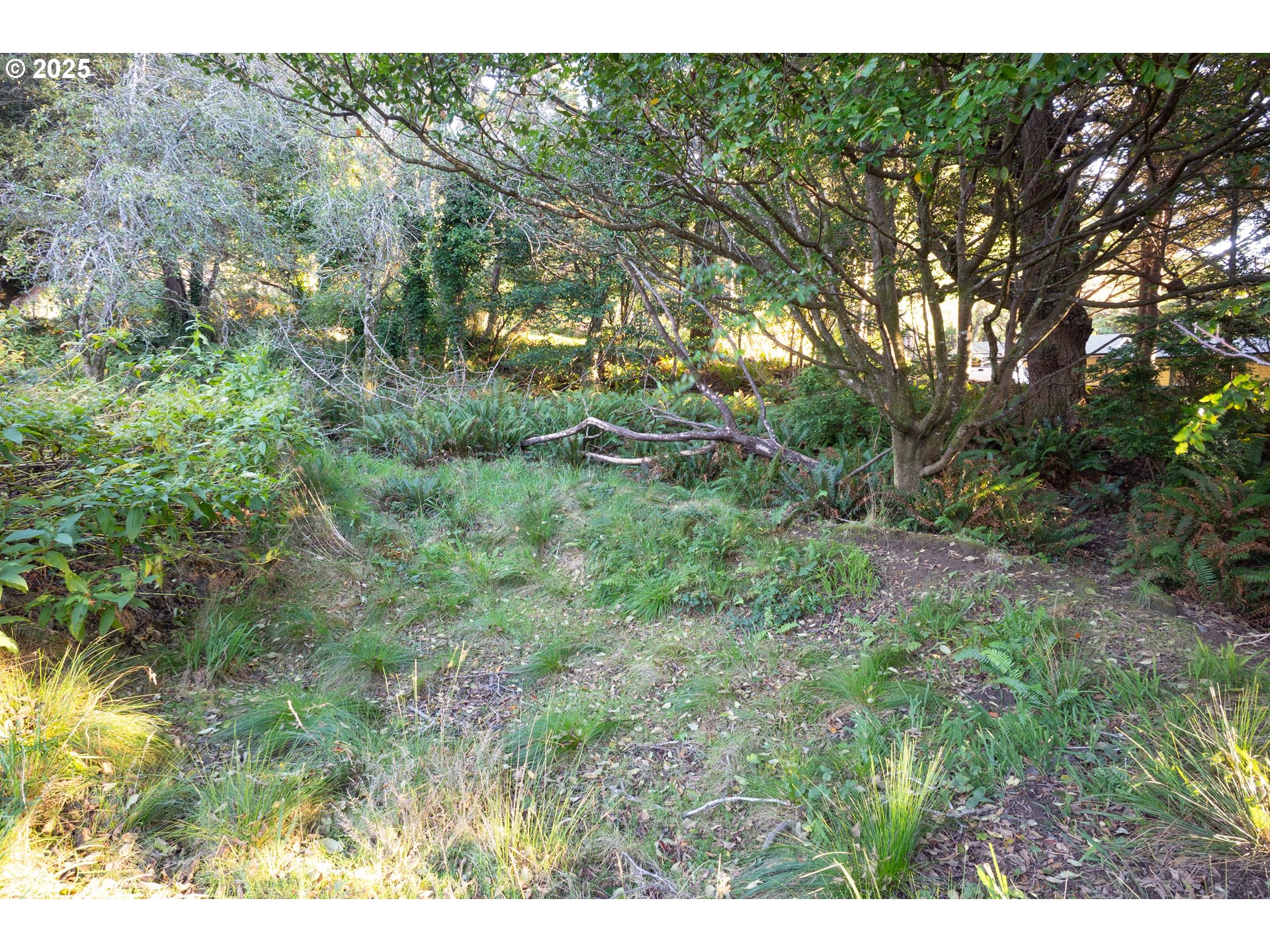 Washington Street Port Orford, OR 97465 - Photo 16 of 16 a view of a field of grass and trees