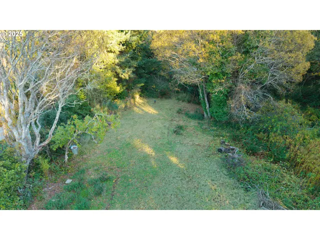 a open area with trees in front of it