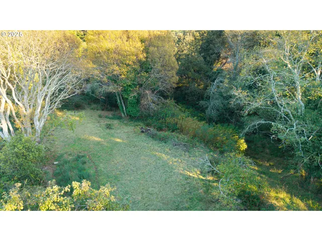 a black and white photo of a garden