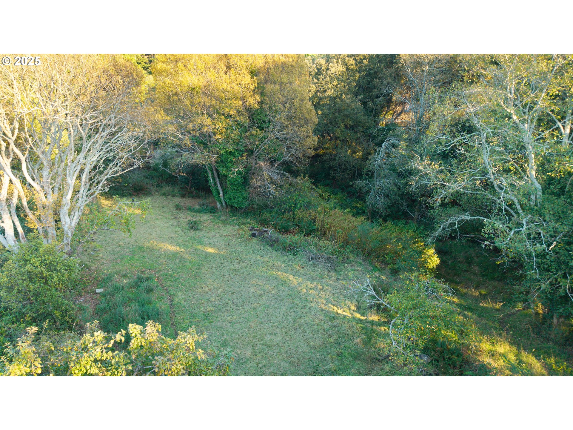 Washington Street Port Orford, OR 97465 - Photo 4 of 16 a black and white photo of a garden