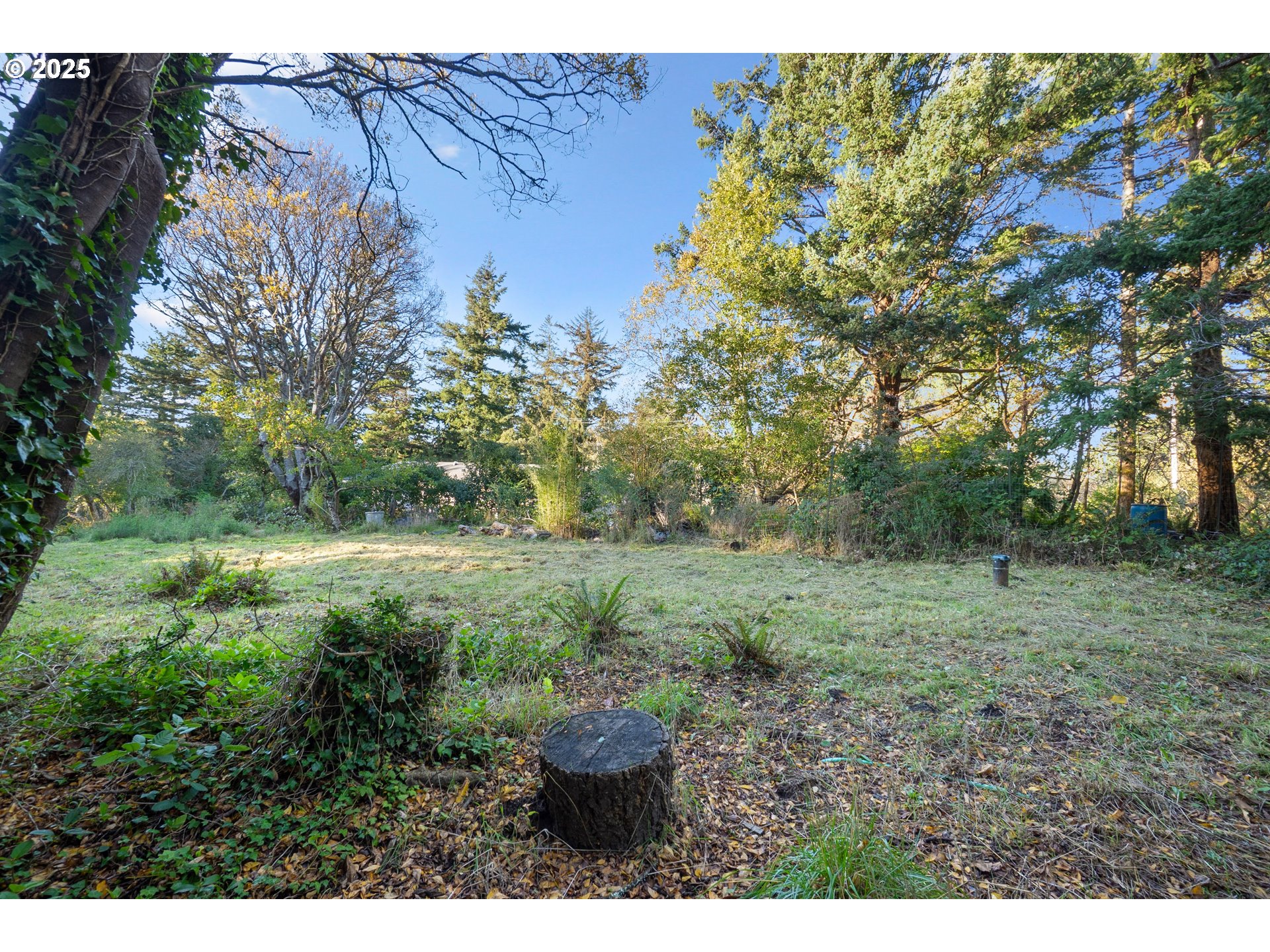 Washington Street Port Orford, OR 97465 - Photo 6 of 16 a view of a yard with a tree