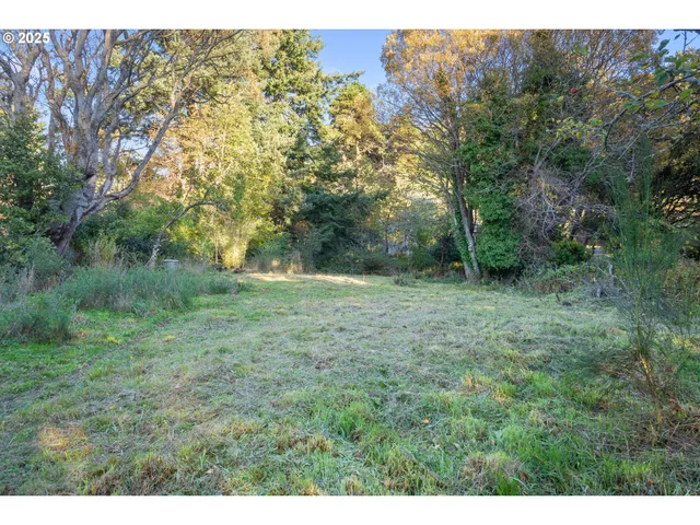 a view of outdoor space and green field