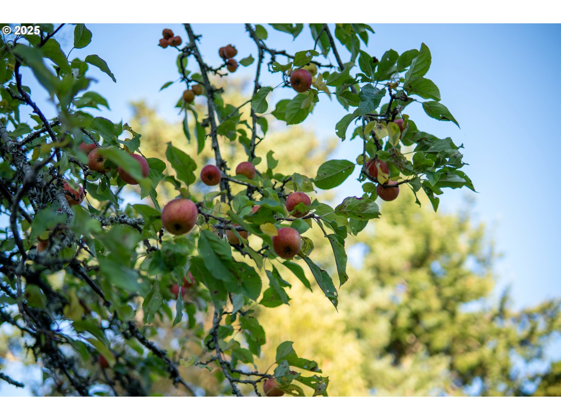 Washington Street Port Orford, OR 97465 - Photo 8 of 16